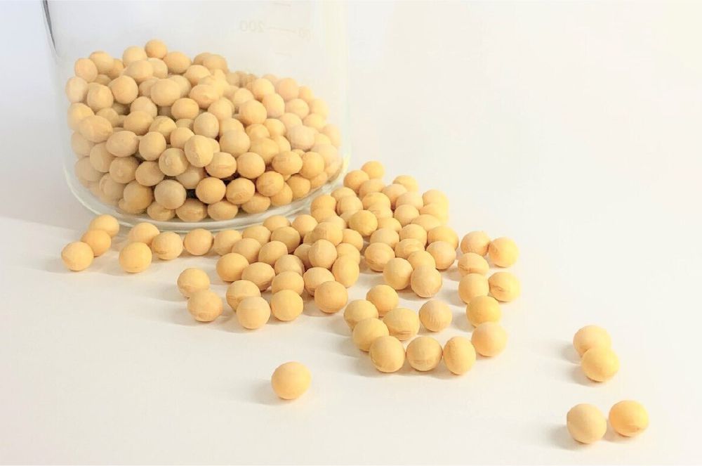 GM soybean testing