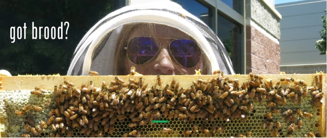 スマート養蜂機器